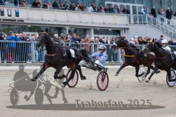 Dateiname=20251012_r06_076_R06_0243.jpg
Dateigröße=301KB
Abmessungen: 1000x667
hinzugefügt am: 14. Oktober 2025 20251012_r06_076_R06_0243.jpg