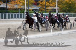 Dateiname=20251012_r06_082_R06_0263.jpg
Dateigröße=295KB
Abmessungen: 1000x667
hinzugefügt am: 14. Oktober 2025 20251012_r06_082_R06_0263.jpg