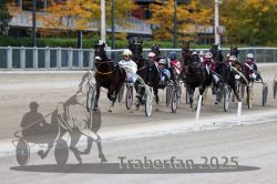 Dateiname=20251012_r06_083_R06_0264.jpg
Dateigröße=294KB
Abmessungen: 1000x667
hinzugefügt am: 14. Oktober 2025 20251012_r06_083_R06_0264.jpg