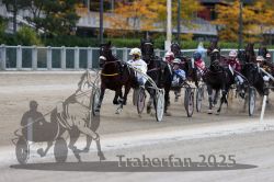 Dateiname=20251012_r06_085_R06_0271.jpg
Dateigröße=293KB
Abmessungen: 1000x667
hinzugefügt am: 14. Oktober 2025 20251012_r06_085_R06_0271.jpg