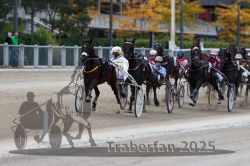 Dateiname=20251012_r06_086_R06_0274.jpg
Dateigröße=292KB
Abmessungen: 1000x667
hinzugefügt am: 14. Oktober 2025 20251012_r06_086_R06_0274.jpg