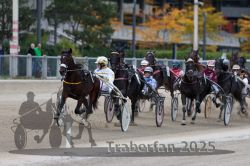 Dateiname=20251012_r06_087_R06_0278.jpg
Dateigröße=286KB
Abmessungen: 1000x667
hinzugefügt am: 14. Oktober 2025 20251012_r06_087_R06_0278.jpg