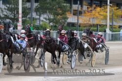 Dateiname=20251012_r06_089_R06_0284.jpg
Dateigröße=317KB
Abmessungen: 1000x667
hinzugefügt am: 14. Oktober 2025 20251012_r06_089_R06_0284.jpg