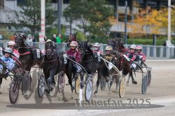 Dateiname=20251012_r06_090_R06_0288.jpg
Dateigröße=318KB
Abmessungen: 1000x667
hinzugefügt am: 14. Oktober 2025 20251012_r06_090_R06_0288.jpg