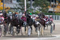 Dateiname=20251012_r06_091_R06_0292.jpg
Dateigröße=316KB
Abmessungen: 1000x667
hinzugefügt am: 14. Oktober 2025 20251012_r06_091_R06_0292.jpg