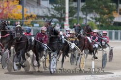 Dateiname=20251012_r06_092_R06_0295.jpg
Dateigröße=315KB
Abmessungen: 1000x667
hinzugefügt am: 14. Oktober 2025 20251012_r06_092_R06_0295.jpg