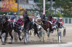 Dateiname=20251012_r06_093_R06_0297.jpg
Dateigröße=312KB
Abmessungen: 1000x667
hinzugefügt am: 14. Oktober 2025 20251012_r06_093_R06_0297.jpg