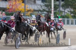 Dateiname=20251012_r06_094_R06_0300.jpg
Dateigröße=285KB
Abmessungen: 1000x667
hinzugefügt am: 14. Oktober 2025 20251012_r06_094_R06_0300.jpg