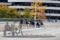 Dateiname=20251012_r06_095_R06_0303.jpg
Dateigröße=331KB
Abmessungen: 1000x667
hinzugefügt am: 14. Oktober 2025 20251012_r06_095_R06_0303.jpg