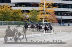 Dateiname=20251012_r06_096_R06_0305.jpg
Dateigröße=335KB
Abmessungen: 1000x667
hinzugefügt am: 14. Oktober 2025 20251012_r06_096_R06_0305.jpg