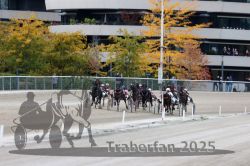 Dateiname=20251012_r06_097_R06_0307.jpg
Dateigröße=333KB
Abmessungen: 1000x667
hinzugefügt am: 14. Oktober 2025 20251012_r06_097_R06_0307.jpg