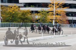 Dateiname=20251012_r06_098_R06_0310.jpg
Dateigröße=354KB
Abmessungen: 1000x667
hinzugefügt am: 14. Oktober 2025 20251012_r06_098_R06_0310.jpg