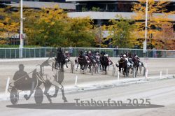 Dateiname=20251012_r06_099_R06_0314.jpg
Dateigröße=342KB
Abmessungen: 1000x667
hinzugefügt am: 14. Oktober 2025 20251012_r06_099_R06_0314.jpg