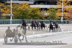 Dateiname=20251012_r06_100_R06_0318.jpg
Dateigröße=345KB
Abmessungen: 1000x667
hinzugefügt am: 14. Oktober 2025 20251012_r06_100_R06_0318.jpg