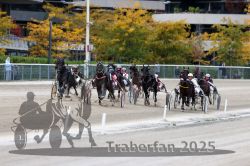 Dateiname=20251012_r06_102_R06_0325.jpg
Dateigröße=323KB
Abmessungen: 1000x667
hinzugefügt am: 14. Oktober 2025 20251012_r06_102_R06_0325.jpg