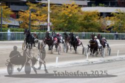 Dateiname=20251012_r06_104_R06_0329.jpg
Dateigröße=312KB
Abmessungen: 1000x667
hinzugefügt am: 14. Oktober 2025 20251012_r06_104_R06_0329.jpg