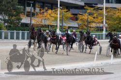 Dateiname=20251012_r06_106_R06_0335.jpg
Dateigröße=316KB
Abmessungen: 1000x667
hinzugefügt am: 14. Oktober 2025 20251012_r06_106_R06_0335.jpg