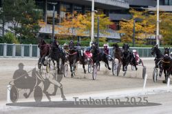 Dateiname=20251012_r06_107_R06_0338.jpg
Dateigröße=324KB
Abmessungen: 1000x667
hinzugefügt am: 14. Oktober 2025 20251012_r06_107_R06_0338.jpg