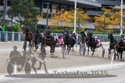 Dateiname=20251012_r06_108_R06_0342.jpg
Dateigröße=329KB
Abmessungen: 1000x667
hinzugefügt am: 14. Oktober 2025 20251012_r06_108_R06_0342.jpg