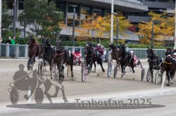 Dateiname=20251012_r06_109_R06_0345.jpg
Dateigröße=313KB
Abmessungen: 1000x667
hinzugefügt am: 14. Oktober 2025 20251012_r06_109_R06_0345.jpg