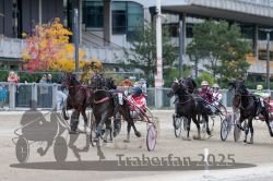 Dateiname=20251012_r06_110_R06_0349.jpg
Dateigröße=323KB
Abmessungen: 1000x667
hinzugefügt am: 14. Oktober 2025 20251012_r06_110_R06_0349.jpg