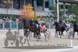 Dateiname=20251012_r06_111_R06_0352.jpg
Dateigröße=305KB
Abmessungen: 1000x667
hinzugefügt am: 14. Oktober 2025 20251012_r06_111_R06_0352.jpg