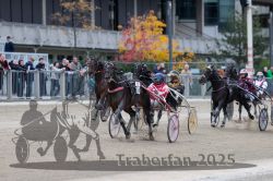 Dateiname=20251012_r06_112_R06_0355.jpg
Dateigröße=302KB
Abmessungen: 1000x667
hinzugefügt am: 14. Oktober 2025 20251012_r06_112_R06_0355.jpg