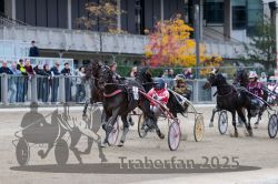 Dateiname=20251012_r06_113_R06_0357.jpg
Dateigröße=319KB
Abmessungen: 1000x667
hinzugefügt am: 14. Oktober 2025 20251012_r06_113_R06_0357.jpg