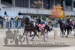 Dateiname=20251012_r06_114_R06_0360.jpg
Dateigröße=313KB
Abmessungen: 1000x667
hinzugefügt am: 14. Oktober 2025 20251012_r06_114_R06_0360.jpg