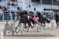 Dateiname=20251012_r06_116_R06_0367.jpg
Dateigröße=333KB
Abmessungen: 1000x667
hinzugefügt am: 14. Oktober 2025 20251012_r06_116_R06_0367.jpg