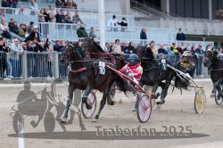 Dateiname=20251012_r06_117_R06_0368.jpg
Dateigröße=332KB
Abmessungen: 1000x667
hinzugefügt am: 14. Oktober 2025 20251012_r06_117_R06_0368.jpg