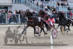 Dateiname=20251012_r06_119_R06_0374.jpg
Dateigröße=322KB
Abmessungen: 1000x667
hinzugefügt am: 14. Oktober 2025 20251012_r06_119_R06_0374.jpg