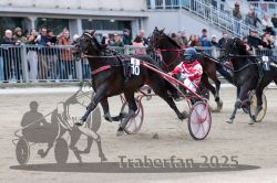 Dateiname=20251012_r06_121_R06_0378.jpg
Dateigröße=317KB
Abmessungen: 1000x667
hinzugefügt am: 14. Oktober 2025 20251012_r06_121_R06_0378.jpg