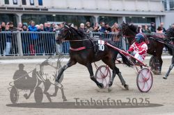 Dateiname=20251012_r06_122_R06_0381.jpg
Dateigröße=301KB
Abmessungen: 1000x667
hinzugefügt am: 14. Oktober 2025 20251012_r06_122_R06_0381.jpg