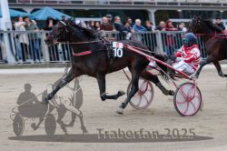 Dateiname=20251012_r06_126_R06_0389.jpg
Dateigröße=288KB
Abmessungen: 1000x667
hinzugefügt am: 14. Oktober 2025 20251012_r06_126_R06_0389.jpg