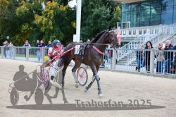 Dateiname=20251012_r06_145_CR5_0313.jpg
Dateigröße=365KB
Abmessungen: 1000x667
hinzugefügt am: 14. Oktober 2025 20251012_r06_145_CR5_0313.jpg