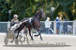 Dateiname=20251012_r07_001_R07_0004.jpg
Dateigröße=323KB
Abmessungen: 1000x667
hinzugefügt am: 14. Oktober 2025 20251012_r07_001_R07_0004.jpg