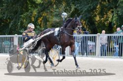 Dateiname=20251012_r07_002_R07_0008.jpg
Dateigröße=322KB
Abmessungen: 1000x667
hinzugefügt am: 14. Oktober 2025 20251012_r07_002_R07_0008.jpg