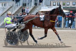 Dateiname=20251012_r07_003_R07_0013.jpg
Dateigröße=335KB
Abmessungen: 1000x667
hinzugefügt am: 14. Oktober 2025 20251012_r07_003_R07_0013.jpg