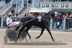 Dateiname=20251012_r07_005_R07_0024.jpg
Dateigröße=336KB
Abmessungen: 1000x667
hinzugefügt am: 14. Oktober 2025 20251012_r07_005_R07_0024.jpg