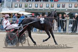 Dateiname=20251012_r07_006_R07_0029.jpg
Dateigröße=324KB
Abmessungen: 1000x667
hinzugefügt am: 14. Oktober 2025 20251012_r07_006_R07_0029.jpg