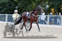 Dateiname=20251012_r07_007_R07_0034.jpg
Dateigröße=300KB
Abmessungen: 1000x667
hinzugefügt am: 14. Oktober 2025 20251012_r07_007_R07_0034.jpg