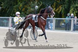 Dateiname=20251012_r07_008_R07_0039.jpg
Dateigröße=308KB
Abmessungen: 1000x667
hinzugefügt am: 14. Oktober 2025 20251012_r07_008_R07_0039.jpg