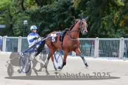 Dateiname=20251012_r07_009_R07_0044.jpg
Dateigröße=310KB
Abmessungen: 1000x667
hinzugefügt am: 14. Oktober 2025 20251012_r07_009_R07_0044.jpg