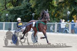 Dateiname=20251012_r07_011_R07_0061.jpg
Dateigröße=316KB
Abmessungen: 1000x667
hinzugefügt am: 14. Oktober 2025 20251012_r07_011_R07_0061.jpg