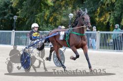 Dateiname=20251012_r07_012_R07_0066.jpg
Dateigröße=315KB
Abmessungen: 1000x667
hinzugefügt am: 14. Oktober 2025 20251012_r07_012_R07_0066.jpg