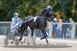 Dateiname=20251012_r07_014_R07_0074.jpg
Dateigröße=310KB
Abmessungen: 1000x667
hinzugefügt am: 14. Oktober 2025 20251012_r07_014_R07_0074.jpg