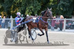 Dateiname=20251012_r07_016_R07_0086.jpg
Dateigröße=318KB
Abmessungen: 1000x667
hinzugefügt am: 14. Oktober 2025 20251012_r07_016_R07_0086.jpg