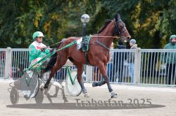 Dateiname=20251012_r07_017_R07_0090.jpg
Dateigröße=318KB
Abmessungen: 1000x667
hinzugefügt am: 14. Oktober 2025 20251012_r07_017_R07_0090.jpg