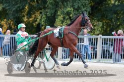 Dateiname=20251012_r07_018_R07_0098.jpg
Dateigröße=324KB
Abmessungen: 1000x667
hinzugefügt am: 14. Oktober 2025 20251012_r07_018_R07_0098.jpg